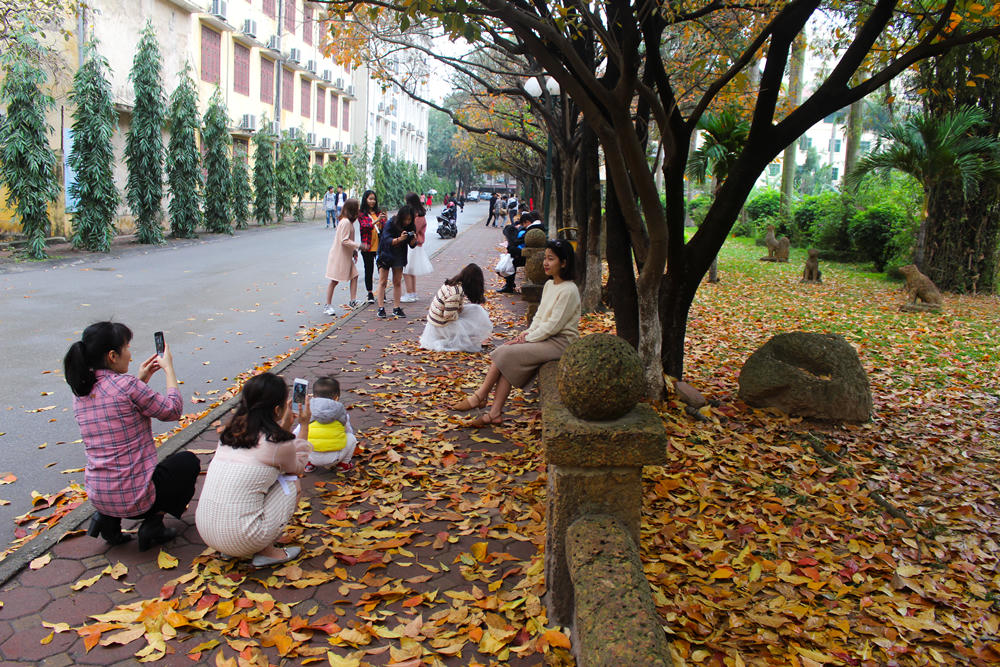 Giới trẻ nô nức check-in con đường lá vàng khuôn viên ĐH Sư Phạm